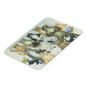 Magnet Flexible Des moyens gagnants (Côté Gauche)