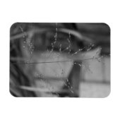 Magnet Flexible Deschampsia flexuosa (Horizontal)