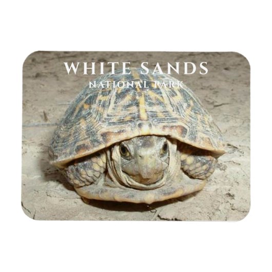 Magnet Flexible Desert Box Turtle White Sands National Park (Horizontal)