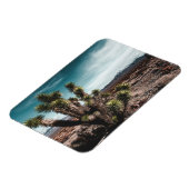 Magnet Flexible Deserts | Cholla (Côté Gauche)