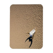 Magnet Flexible Deserts | Cow Skull on the Desert Ground (Vertical)