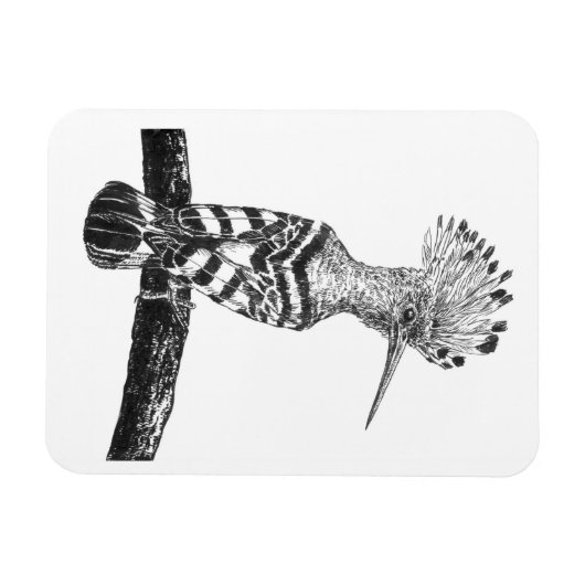 Magnet Flexible Dessin à capot (Horizontal)