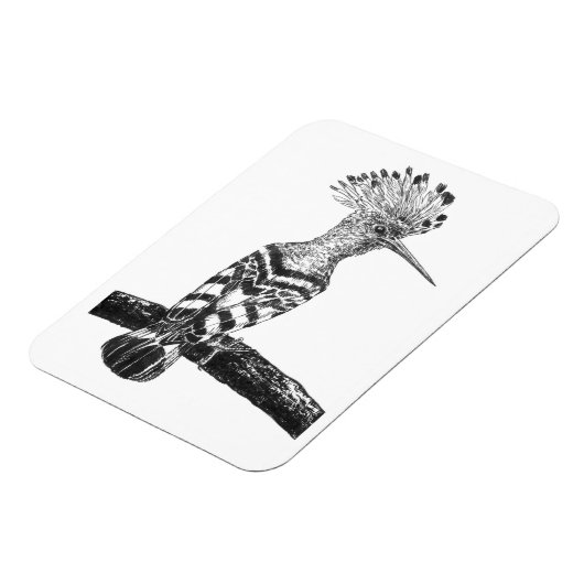 Magnet Flexible Dessin à capot (Côté Gauche)