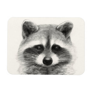 Magnet Flexible Dessin au crayon de Raccoon