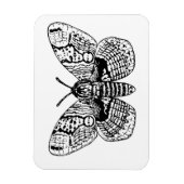 Magnet Flexible Dessin Brahmin moth (Vertical)