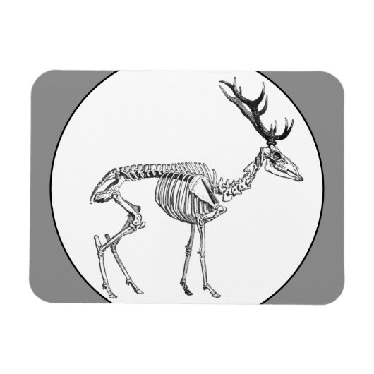 Magnet Flexible Dessin vintage éffrayant de squelette (Horizontal)