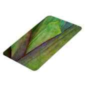 Magnet Flexible Détail d'Agave (Côté Gauche)