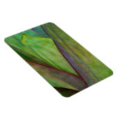 Magnet Flexible Détail d'Agave (Côté Droit)