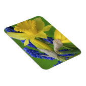 Magnet Flexible Détail des fleurs de jonquille et de jacinthe. Cré (Côté Droit)