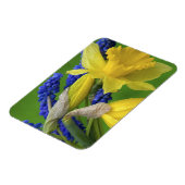 Magnet Flexible Détail des fleurs de jonquille et de jacinthe. Cré (Côté Gauche)