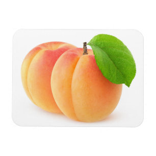 Magnet Flexible Deux abricots