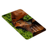 Magnet Flexible Deux beaux chevaux de châtaignes au soleil (Côté Droit)