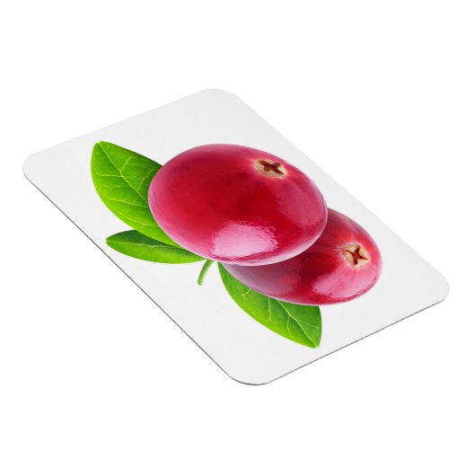 Magnet Flexible Deux canneberges (Côté Droit)