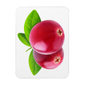 Magnet Flexible Deux canneberges (Vertical)