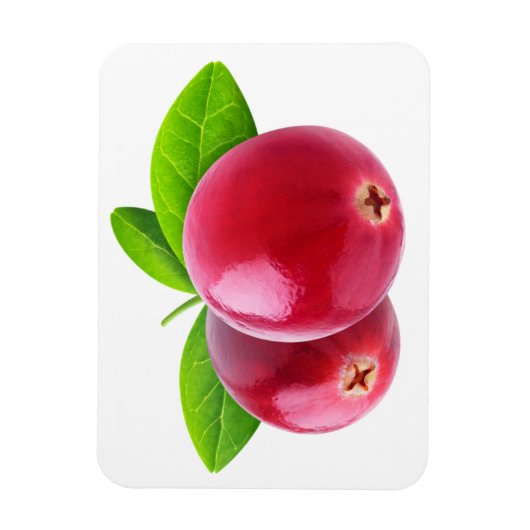 Magnet Flexible Deux canneberges (Vertical)