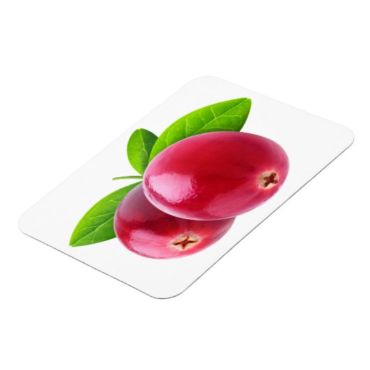 Magnet Flexible Deux canneberges (Côté Gauche)