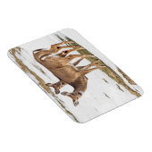 Magnet Flexible Deux cerfs à queue blanche en alerte (Côté Droit)