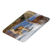 Magnet Flexible Deux cerfs à queue blanche en hiver (Côté Gauche)