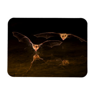 Magnet Flexible Deux chauves-souris volant au-dessus de l'eau, Ari