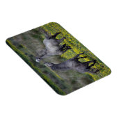 Magnet Flexible Deux chevaux Buck and Play (Côté Droit)