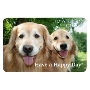 Magnet Flexible Deux chiens heureux de golden retriever dehors