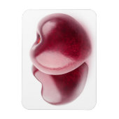 Magnet Flexible Deux coeurs de cerise (Vertical)