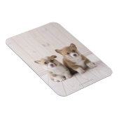Magnet Flexible Deux Corgi gallois assis (Côté Droit)