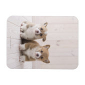 Magnet Flexible Deux Corgi gallois assis (Horizontal)
