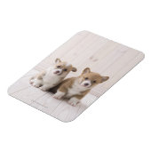 Magnet Flexible Deux Corgi gallois assis (Côté Gauche)
