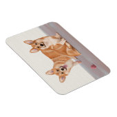 Magnet Flexible Deux Corgis mignons (Côté Droit)