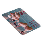 Magnet Flexible Deux fois Lesser Flamingos (Côté Droit)