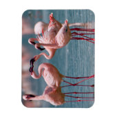 Magnet Flexible Deux fois Lesser Flamingos (Vertical)
