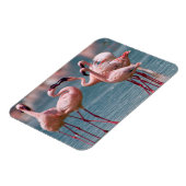 Magnet Flexible Deux fois Lesser Flamingos (Côté Gauche)