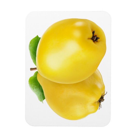 Magnet Flexible Deux fruits de coing (Vertical)