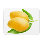Magnet Flexible Deux fruits de mangue jaune (Horizontal)