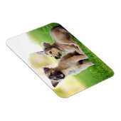 Magnet Flexible Deux German Shepherd (Côté Droit)