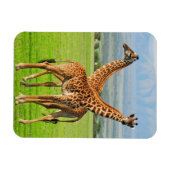 Magnet Flexible Deux girafes (Horizontal)