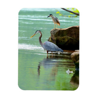 Magnet Flexible Deux hérons au bord de la rivière