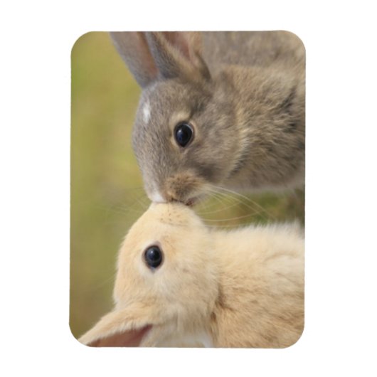 Magnet Flexible Deux lapins baiser aimant rectangle (Vertical)