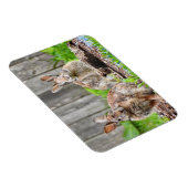 Magnet Flexible Deux lapins de lapin (Côté Droit)