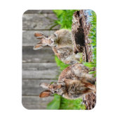 Magnet Flexible Deux lapins de lapin (Vertical)