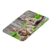 Magnet Flexible Deux lapins de lapin (Côté Gauche)