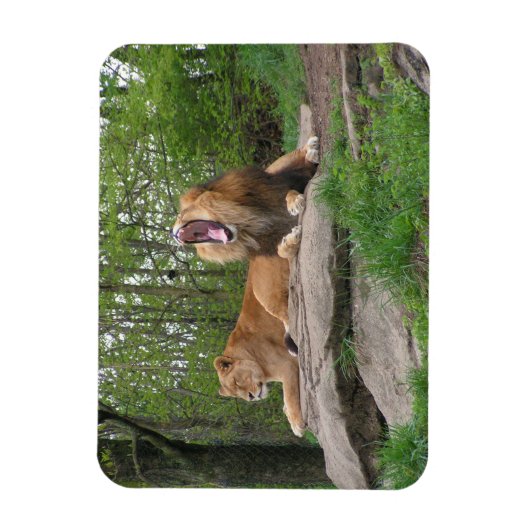 Magnet Flexible Deux Lions (Vertical)
