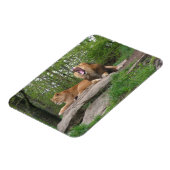 Magnet Flexible Deux Lions (Côté Gauche)