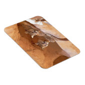 Magnet Flexible Deux lions de montagne (Côté Droit)