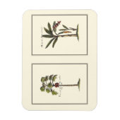 Magnet Flexible Deux mini palmiers encadrés (Vertical)