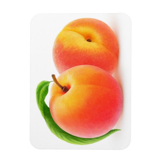 Magnet Flexible Deux pêches (Vertical)