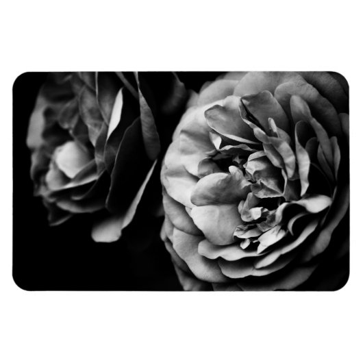 Magnet Flexible deux roses (Horizontal)