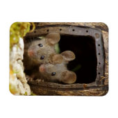 Magnet Flexible deux souris à l'aimant de la porte (Horizontal)