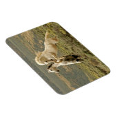 Magnet Flexible Deux Stallions sauvages combattent (Côté Droit)